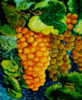 raisnins 30 x 24 cm avril 2025 