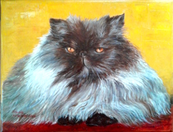 Ze Cat d�cembre 2020